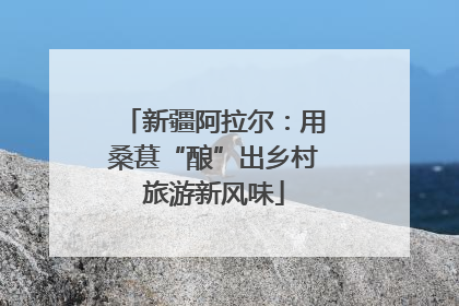 新疆阿拉尔：用桑葚“酿”出乡村旅游新风味
