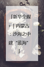 新华全媒+｜内蒙古：沙海之中建“蓝海”