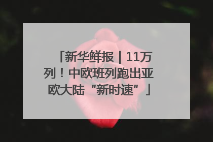 新华鲜报｜11万列！中欧班列跑出亚欧大陆“新时速”