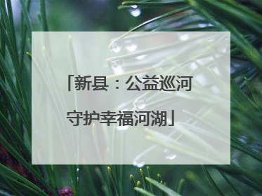 新县：公益巡河守护幸福河湖