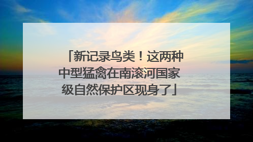新记录鸟类！这两种中型猛禽在南滚河国家级自然保护区现身了