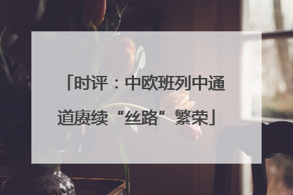 时评：中欧班列中通道赓续“丝路”繁荣