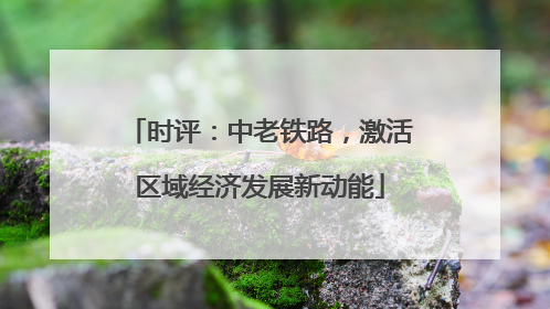 时评：中老铁路，激活区域经济发展新动能