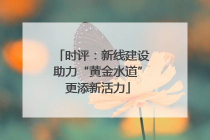 时评：新线建设助力“黄金水道”更添新活力