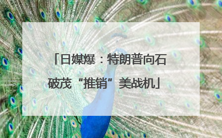 日媒爆：特朗普向石破茂“推销”美战机