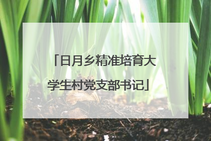 日月乡精准培育大学生村党支部书记