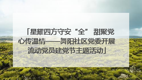 星耀四方守安“全” 甜聚党心传温情——舞阳社区党委开展流动党员建党节主题活动