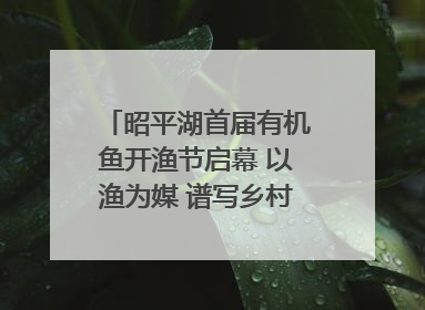昭平湖首届有机鱼开渔节启幕 以渔为媒 谱写乡村振兴新篇章