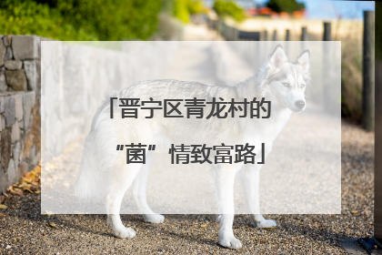 晋宁区青龙村的“菌”情致富路