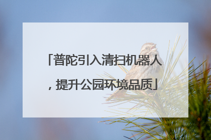 普陀引入清扫机器人，提升公园环境品质