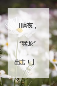 暗夜，“猛龙”出击！
