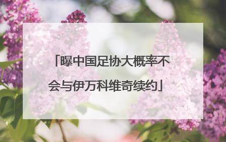 曝中国足协大概率不会与伊万科维奇续约