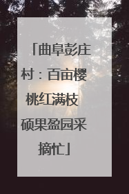 曲阜彭庄村：百亩樱桃红满枝 硕果盈园采摘忙