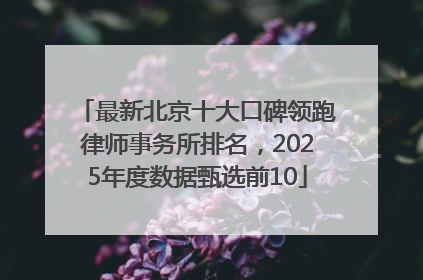 最新北京十大口碑领跑律师事务所排名，2025年度数据甄选前10