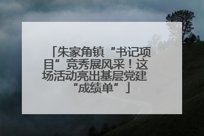 朱家角镇“书记项目”竞秀展风采！这场活动亮出基层党建“成绩单”