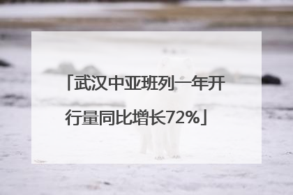 武汉中亚班列一年开行量同比增长72%
