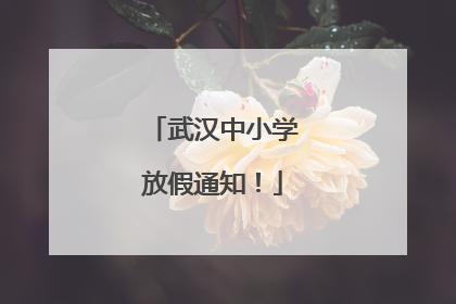 武汉中小学放假通知！