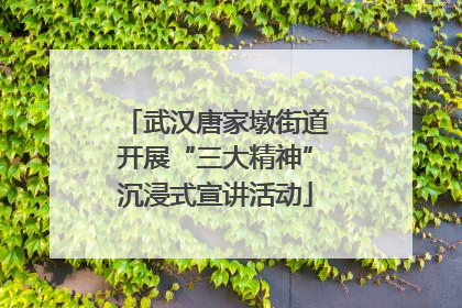 武汉唐家墩街道开展“三大精神”沉浸式宣讲活动