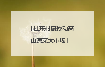 桂东村厨撬动高山蔬菜大市场