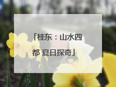 桂东：山水四都 夏日探奇