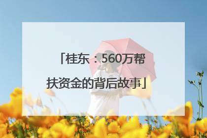 桂东：560万帮扶资金的背后故事