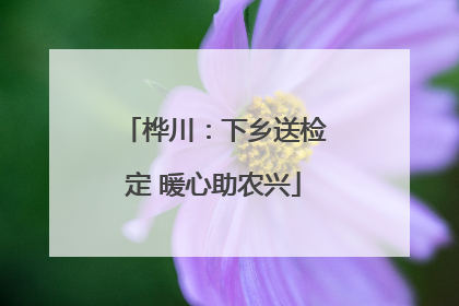 桦川：下乡送检定 暖心助农兴