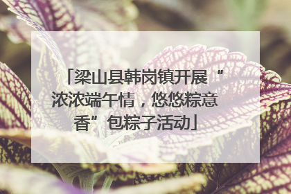 梁山县韩岗镇开展“浓浓端午情，悠悠粽意香”包粽子活动