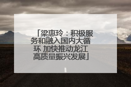 梁惠玲：积极服务和融入国内大循环 加快推动龙江高质量振兴发展