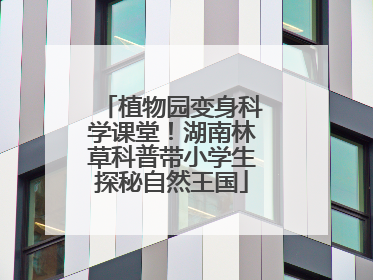 植物园变身科学课堂！湖南林草科普带小学生探秘自然王国
