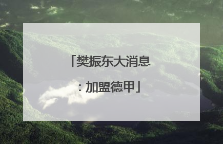 樊振东大消息：加盟德甲