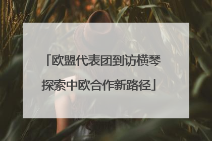欧盟代表团到访横琴 探索中欧合作新路径