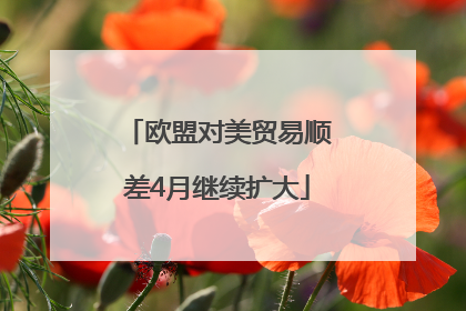 欧盟对美贸易顺差4月继续扩大