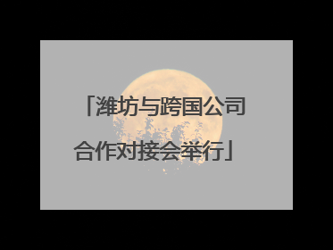 潍坊与跨国公司合作对接会举行