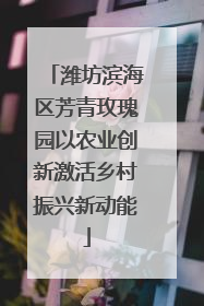 潍坊滨海区芳青玫瑰园以农业创新激活乡村振兴新动能