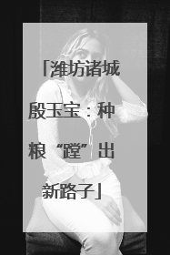 潍坊诸城殷玉宝：种粮“蹚”出新路子
