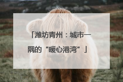 潍坊青州：城市一隅的“暖心港湾”