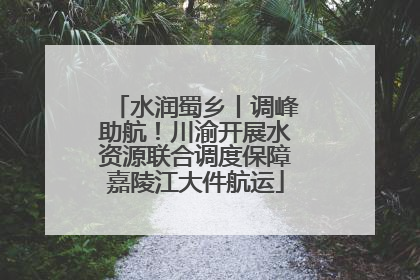 水润蜀乡丨调峰助航！川渝开展水资源联合调度保障嘉陵江大件航运