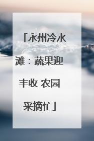 永州冷水滩：蔬果迎丰收 农园采摘忙