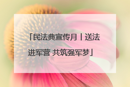 民法典宣传月丨送法进军营 共筑强军梦