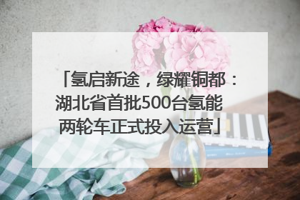 氢启新途，绿耀铜都：湖北省首批500台氢能两轮车正式投入运营