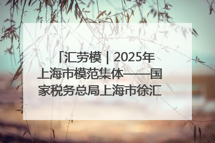 汇劳模｜2025年上海市模范集体——国家税务总局上海市徐汇区税务局第一税务所
