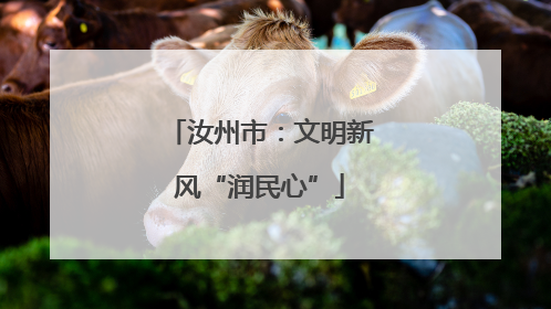 汝州市：文明新风“润民心”