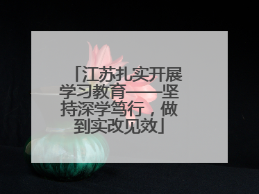 江苏扎实开展学习教育——坚持深学笃行，做到实改见效