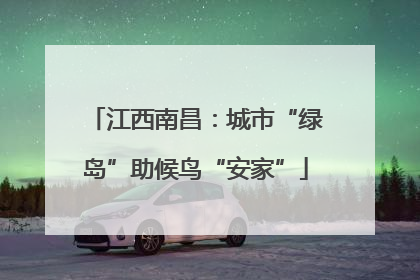 江西南昌：城市“绿岛”助候鸟“安家”
