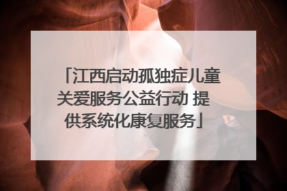 江西启动孤独症儿童关爱服务公益行动 提供系统化康复服务