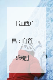 江西广昌：白莲盛绽