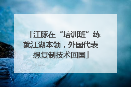 江豚在“培训班”练就江湖本领，外国代表想复制技术回国