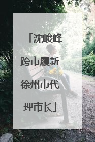 沈峻峰跨市履新徐州市代理市长