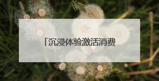 沉浸体验激活消费新想象 京东MALL“一站置家”树立服务价值新坐标