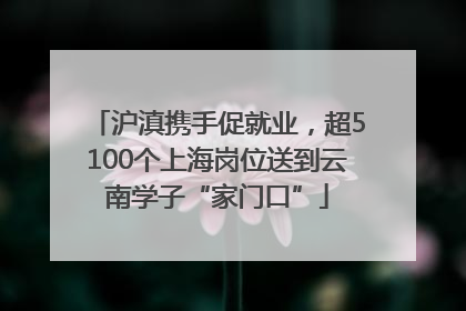 沪滇携手促就业，超5100个上海岗位送到云南学子“家门口”